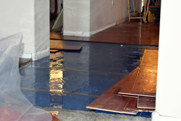 Professional Sewage Cleanup technician working in Anson, ME